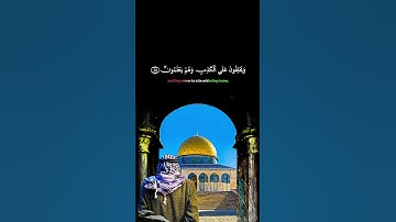 #القران_الكريم كروما شاشه سوداء🌿سورة المجادلة🌿ألم تر إلى الذين تولوا قوما غضب.. | Surah Al-Mujadilah
