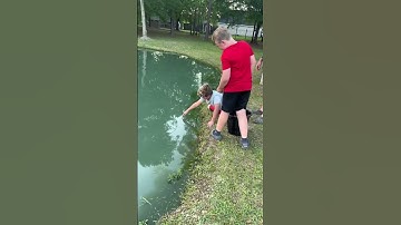 Anak kecil menangkap ikan hanya dengan tangannya