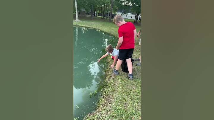 Kid catches fish using just his hands