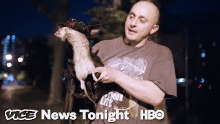 The Vigilante Group Of New Yorkers Who Hunt Rats At Night