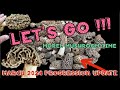 Lets go  morel mushroom progression 2024 morelmushroomhunting foraging morelmushrooms