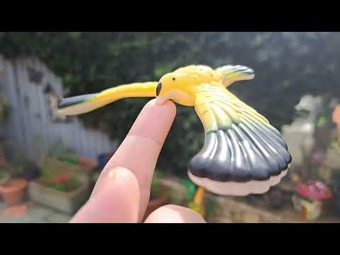 Balancing Birds and Collection update