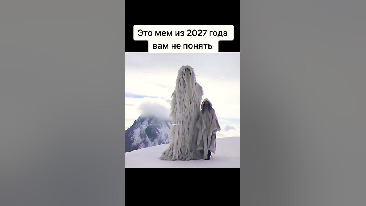 Мем 2027 года белая