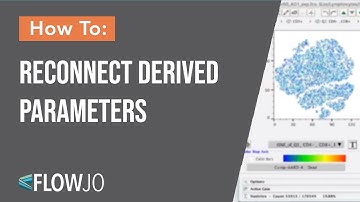 Reconnect Derived Parameters