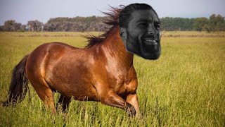 My Horse Prince is the best dating simulator! Profile