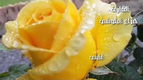 قرآن كريم بصوت هزاع البلوشي __ اجمل حالات واتس اب