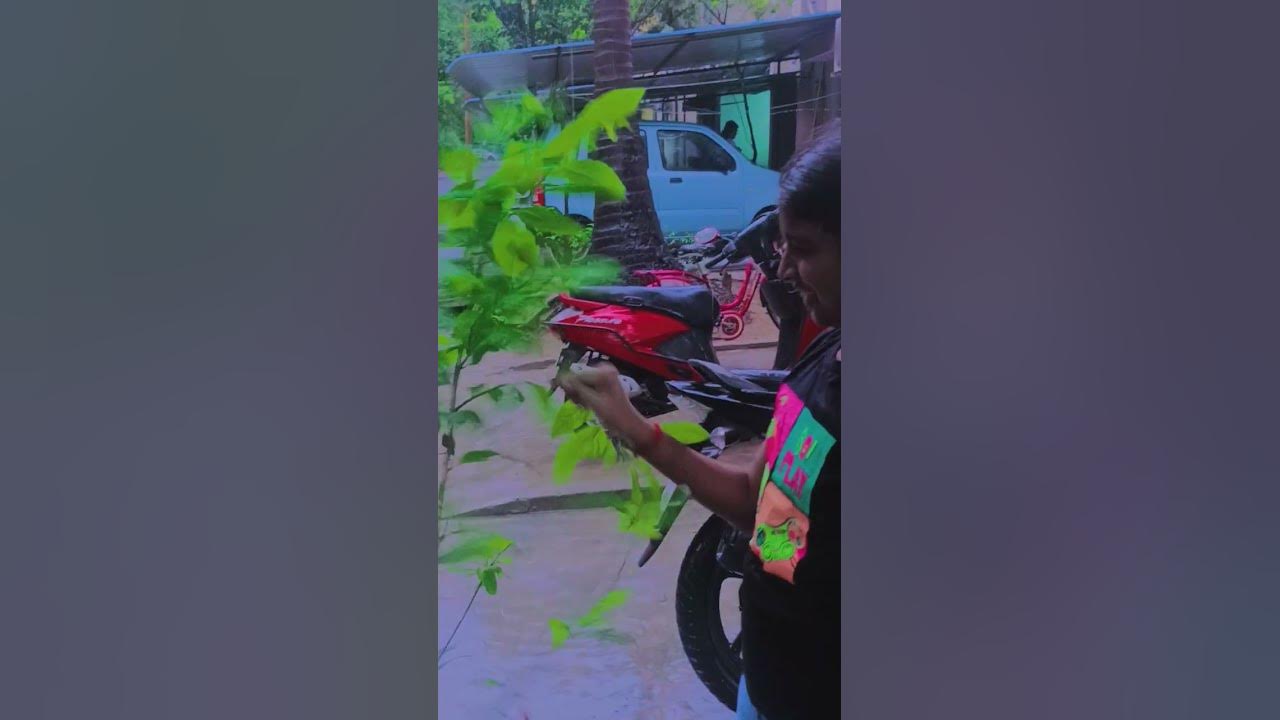 Nan nare song 👌👍⭐✨🌺🆗✨🥶⭐☔☔😊🧐 #music #dance NR galatta sister's