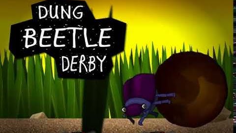 DUNG BEETLE DERBY | NATIONAL GEOGRAPHIC KIDS GAMES | FREE EDUCATIONAL GAMES