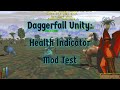Daggerfall Unity: Health Indicator Mod Test
