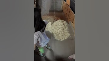 DIY chicks brooder