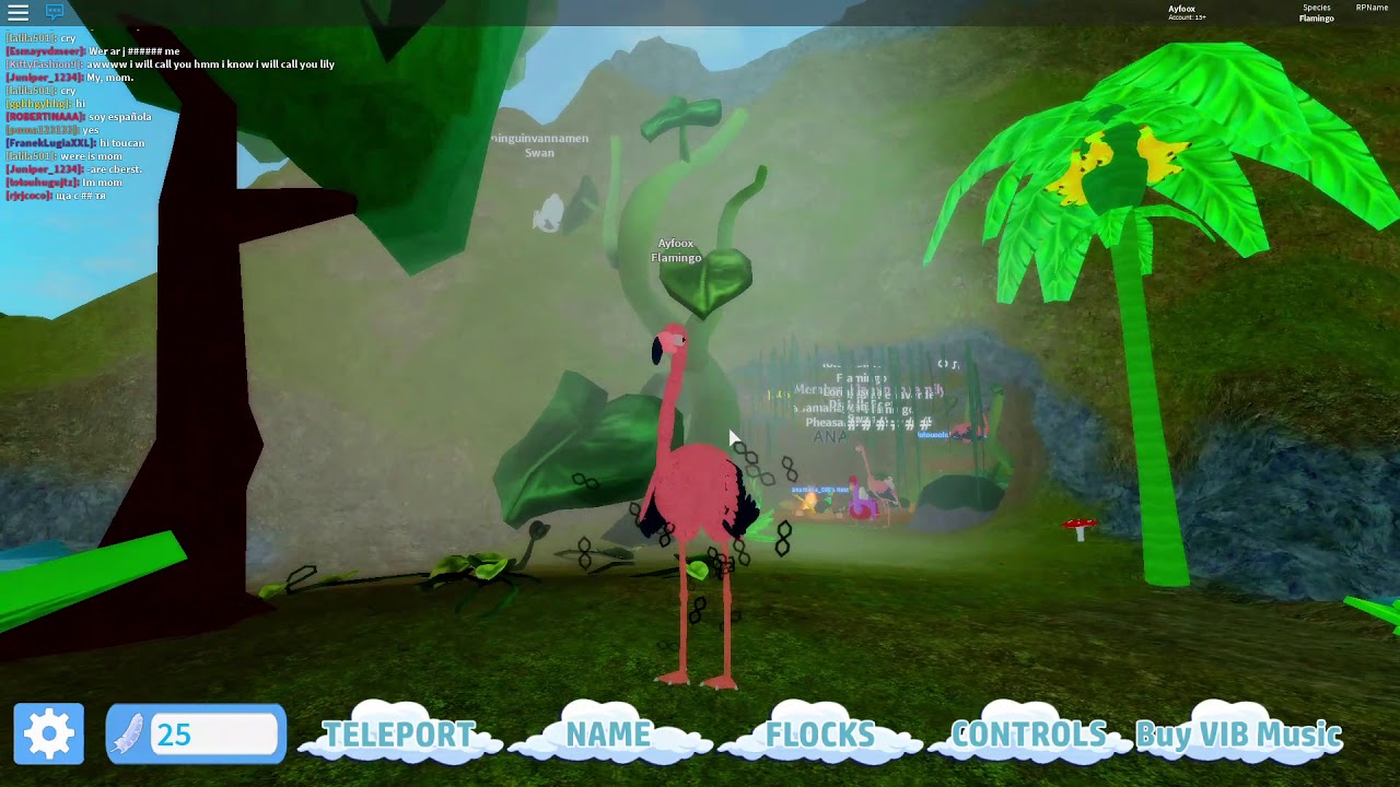 Update Flamingo Roblox Feather Family - roblox feather family phoenix update