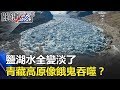 鹽湖水全變淡了 亞洲水塔青藏高原像餓鬼一樣不斷吞噬！？ 關鍵時刻 20180312-4 馬西屏 朱學恒 王瑞德 戴子郎 傅鶴齡