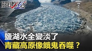 鹽湖水全變淡了 亞洲水塔青藏高原像餓鬼一樣不斷吞噬！？ 關鍵時刻 20180312-4 馬西屏 朱學恒 王瑞德 戴子郎 傅鶴齡