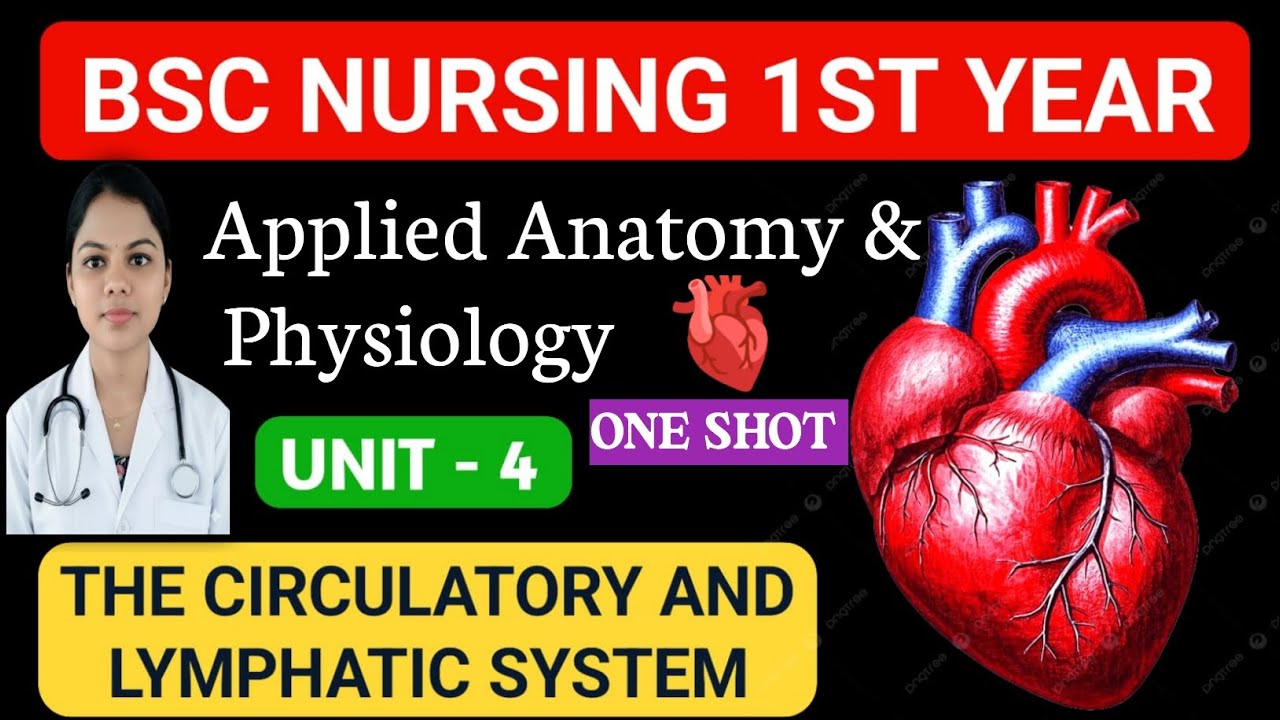 The circulatory & Lymphatic System (unit-4) | part-3 | Bsc(N) 1st sem ...