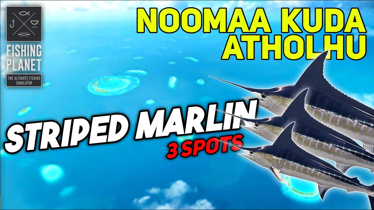 Unique Striped Marlin Noomaa Kuda Atholhu - Fishing Planet