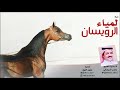 جديد وحصري شيلة لمياء الرويسان أداء صوت الخليج ناصر السيحاني | روعه | 2019