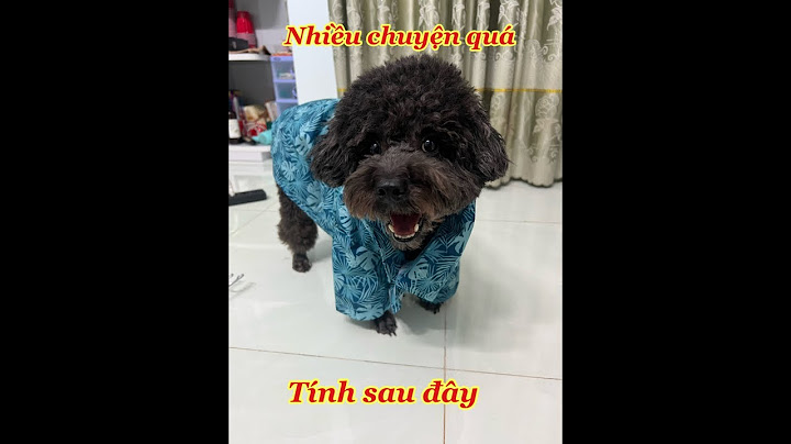 So sánh puppy thay đổi sau 2 months