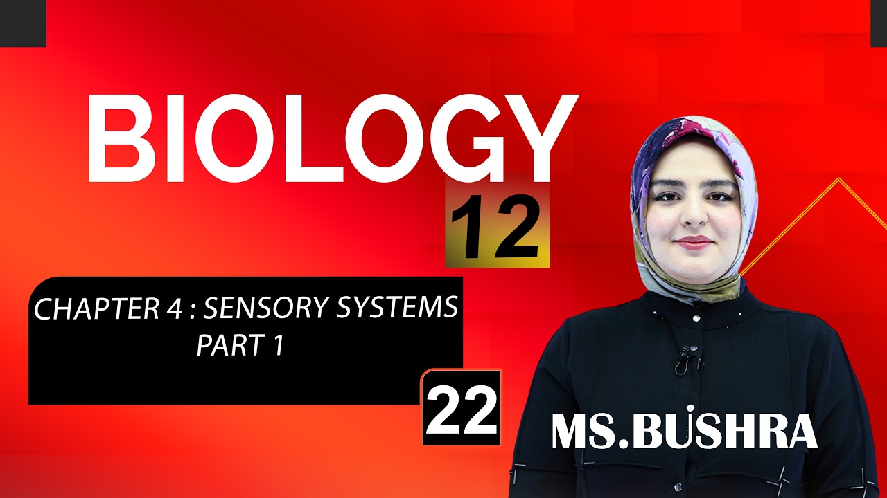 Biology 12 | Ms. Bushra | chapter 4 : sensory systems |   part 1 |  Lesson #22