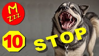 Stop Dogs Barking with Ultra High Pitch Dog Whistle