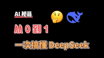 一次搞懂 DeepSeek｜拒绝上当受骗｜是什么｜如何使用｜可以做些什么｜更好的使用｜更多玩法｜教程｜技巧｜本地部署｜私人知识库搭建