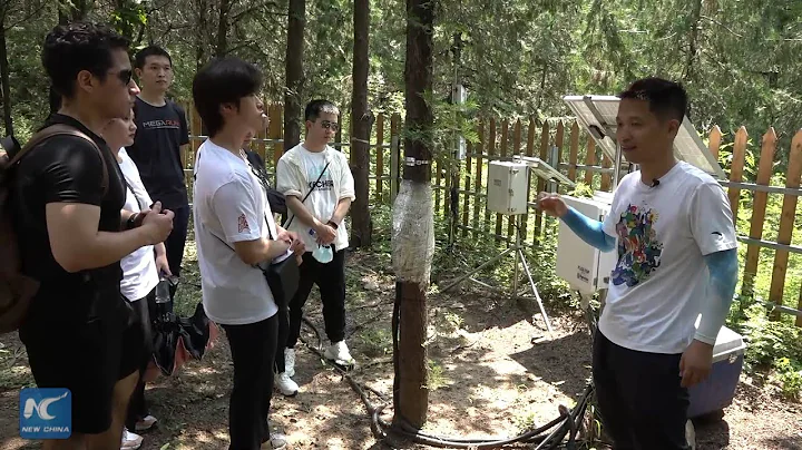 Foreign students gain first-hand experience of environmental protection in China - DayDayNews