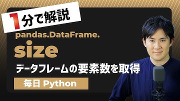【毎日Python】Pythonでデータフレームやシリーズの要素数を取得する方法｜DataFrame.size