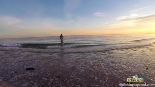 November Fishing Report for Falmouth, MA