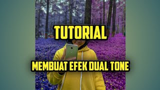 TUTORIAL EDIT DUAL TONE PEMULA || APLIKASI LIGHTROOM, PICSART|| link aplikasi ada dideskripsi screenshot 5