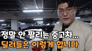 "이걸 이 가격에도 안 사 간다고?".. 중고차가 6개월 이상 안 팔리면 생기는 일