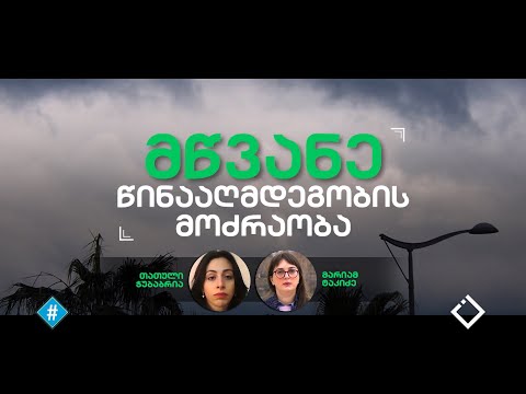 მწვანე წინააღმდეგობის მოძრაობა / მარიამ ტაკიძის ინტერვიუ თათული ჭუბაბრიასთან