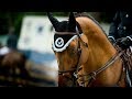 7 Years || Equestrian Music Video