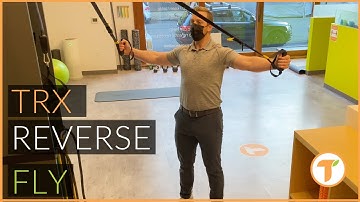 TRX Reverse Fly