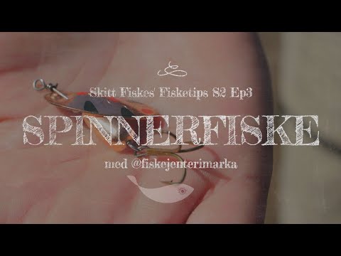 Video: Hvordan Fiske Med En Spinner I