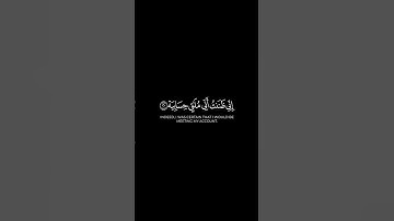 فأما من أوتي كتابه بيمينه شاشة سوداء | كرومات قرآن كريم من سورة الحاقة | الشيخ #أحمد_النفيس