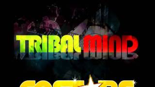 DJ Tetris, DJ Pica Jr & DJ MacS (COSTARS) ! - Tribal Mind - ( Original Mix )