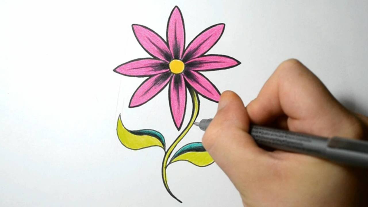 Simple Flowers To Draw