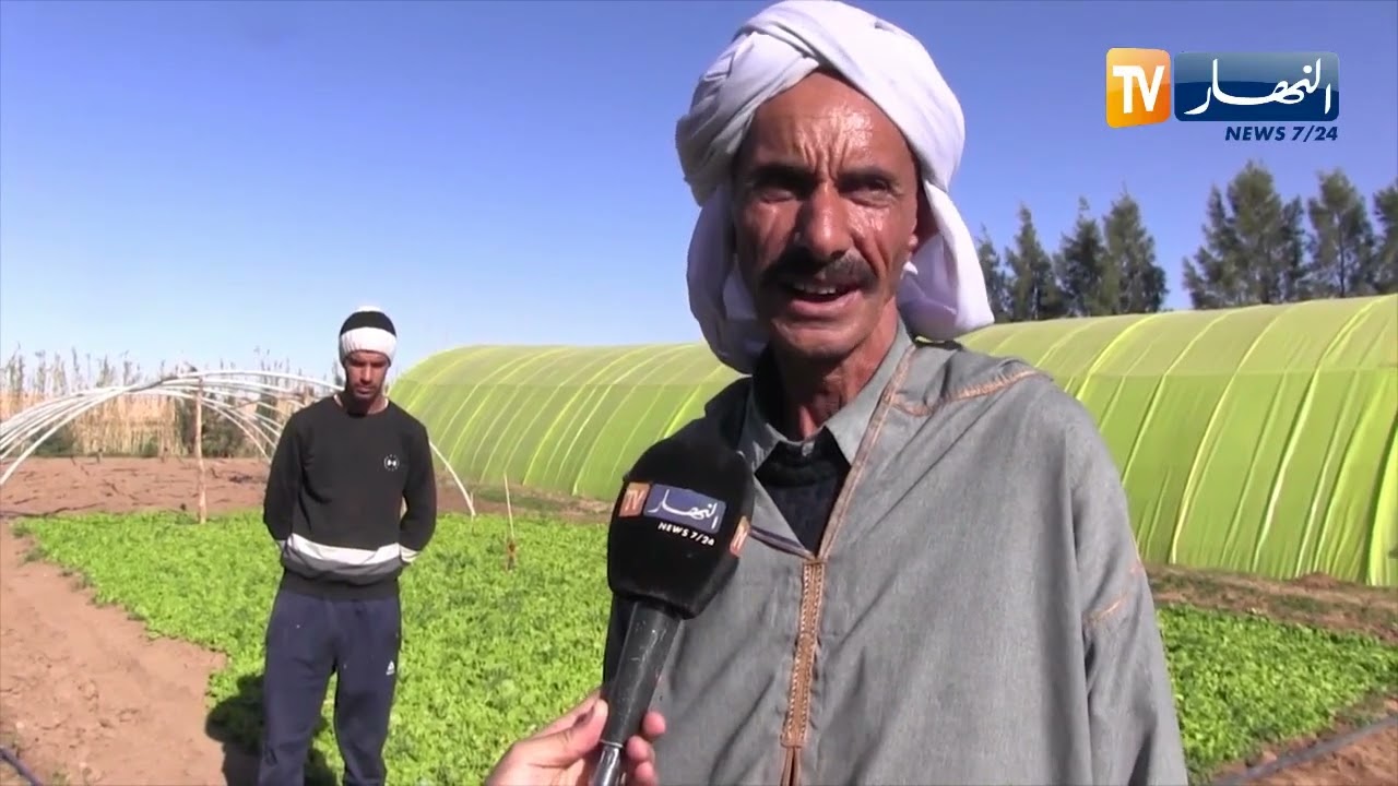 الجلفة: فلاحون من بلدية القديد يحولون أرضا قاحلة لأخرى منتجة رغم العراقيل