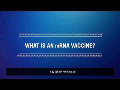 Video: A trong mRNA LÀ GÌ?