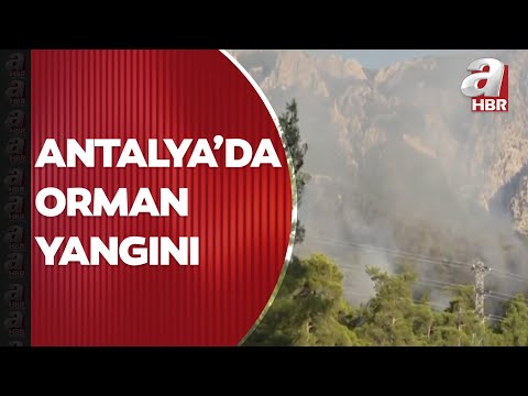 Antalya'da orman yangını! Kemer ve Kaş'taki yangınlara karadan ve havadan müdahale ediliyor