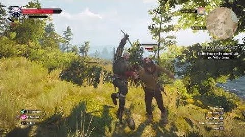 Witcher 3 Brutal Combat/Dismemberment Compilation 1
