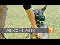 Back to School UTPD K9 Back to School UTPD K9
