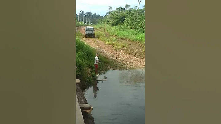 Todo terreno