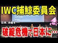 日本を潰そうとしたIWC国際捕鯨委員会の悲惨過ぎる現在 分担金に関する巨額滞納額と反捕鯨国家である韓国の本当の姿とは・・・