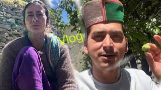 ये लो, वहां आ गया VLOG 🥰