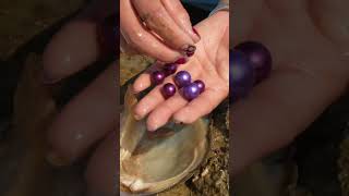 🥰🔮Beautiful Pearls Inside River Clams