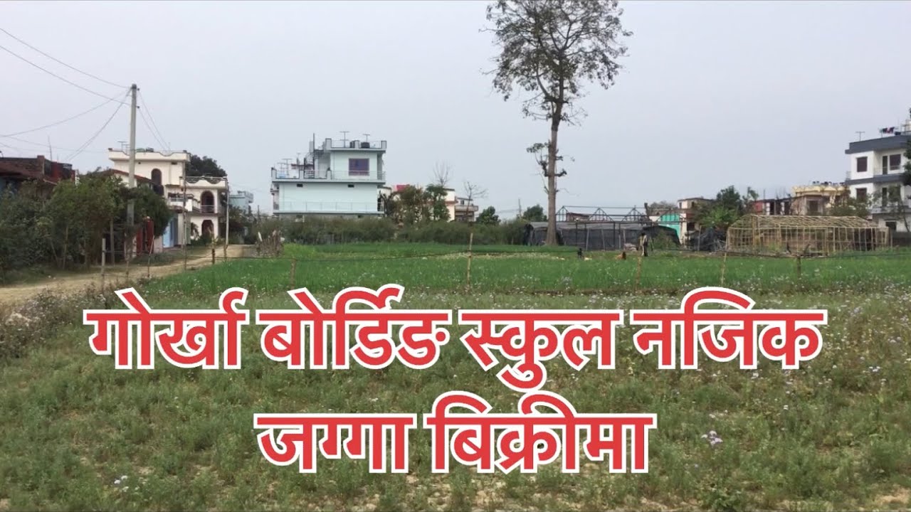 Land for sale at Kohalpur Banke YouTube