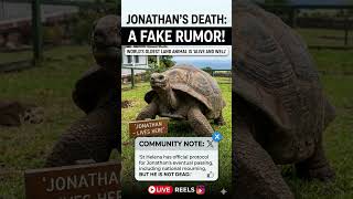 Jonathan the Tortoise is NOT Dead! 🐢❌ #Shorts #breakingnews #geopolitics