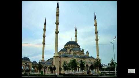 من سورة القصص / محمد العامر