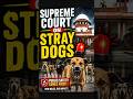 Supreme Court Allows Killing Of Rabid, Aggressive Stray Dogs #SupremeCourt #supremecourtofindia #PW