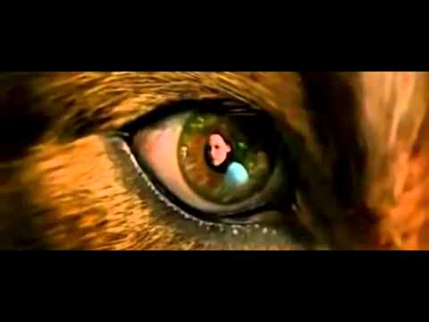 صحه لكي هاشم Snake سيف الفيتوري الصيف متاعي ساري المفعول مزال 2014 